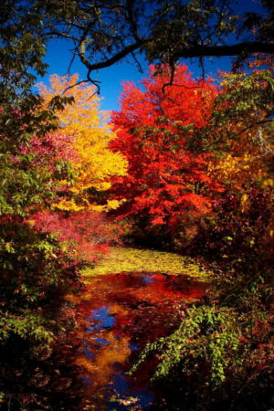 Major color blast