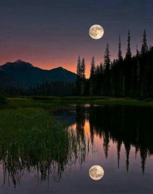 Reflecting on the day