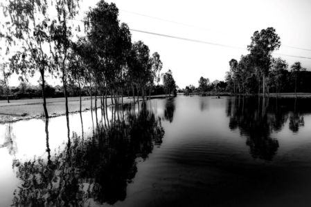Reflections in black and white