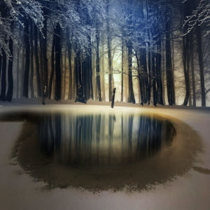 Reflective puddle