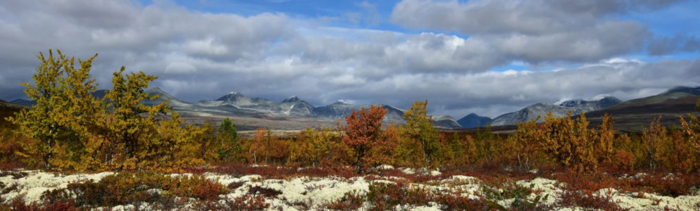 View towards Rondane
